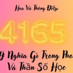 4165 Có Ý Nghĩa Gì (2)