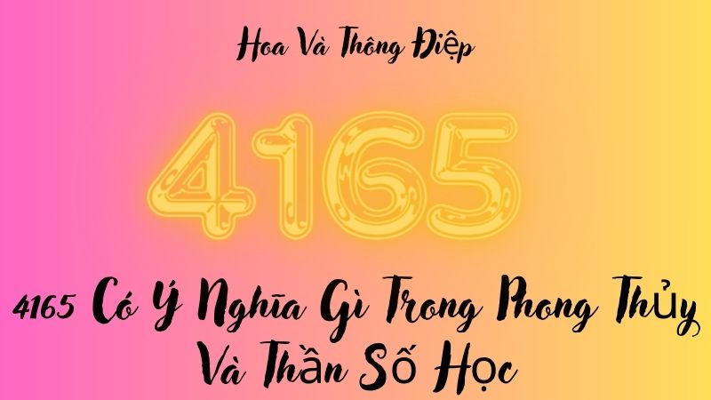 4165 Có Ý Nghĩa Gì Trong Phong Thủy Và Thần Số Học