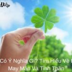 Cỏ Bốn Lá Có Ý Nghĩa Gì (1)