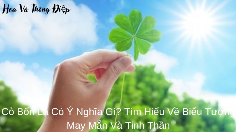 Cỏ Bốn Lá Có Ý Nghĩa Gì? Tìm Hiểu Về Biểu Tượng May Mắn Và Tinh Thần