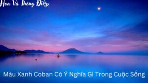 Màu Xanh Coban Có Ý Nghĩa Gì Trong Cuộc Sống