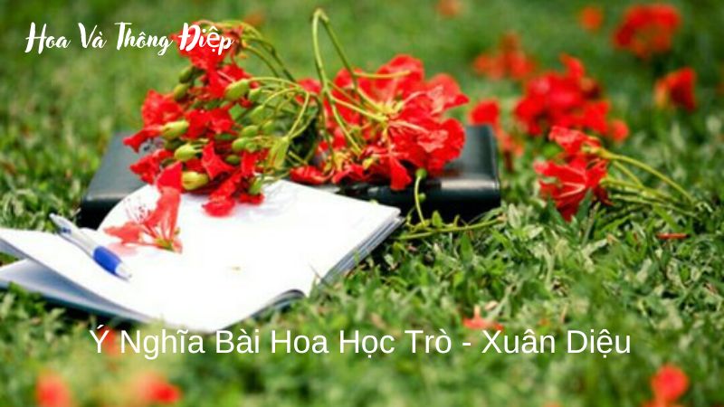 Ý Nghĩa Bài Hoa Học Trò – Xuân Diệu