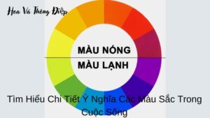 Tìm Hiểu Chi Tiết Ý Nghĩa Các Màu Sắc Trong Cuộc Sống