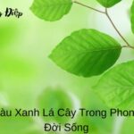 Ý Nghĩa Màu Xanh Lá Cây (1)