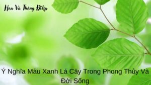 Ý Nghĩa Màu Xanh Lá Cây Trong Phong Thủy Và Đời Sống