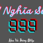 Ý Nghĩa Số 999