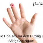 Ý Nghĩa Số Hoa Tay