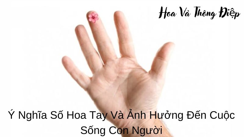 Ý Nghĩa Số Hoa Tay Và Ảnh Hưởng Đến Cuộc Sống Con Người