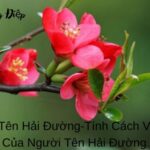 Ý Nghĩa Tên Hải Đường (1)