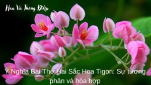 Ý Nghĩa Bài Thơ Hai Sắc Hoa Tigon: Sự Tương Phản Và Hòa Hợp