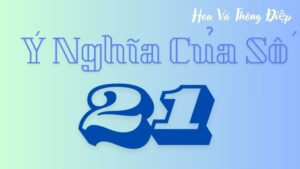 Tổng Quát Về Ý Nghĩa Của Số 21 Trong Tất Cả Khía Cạnh